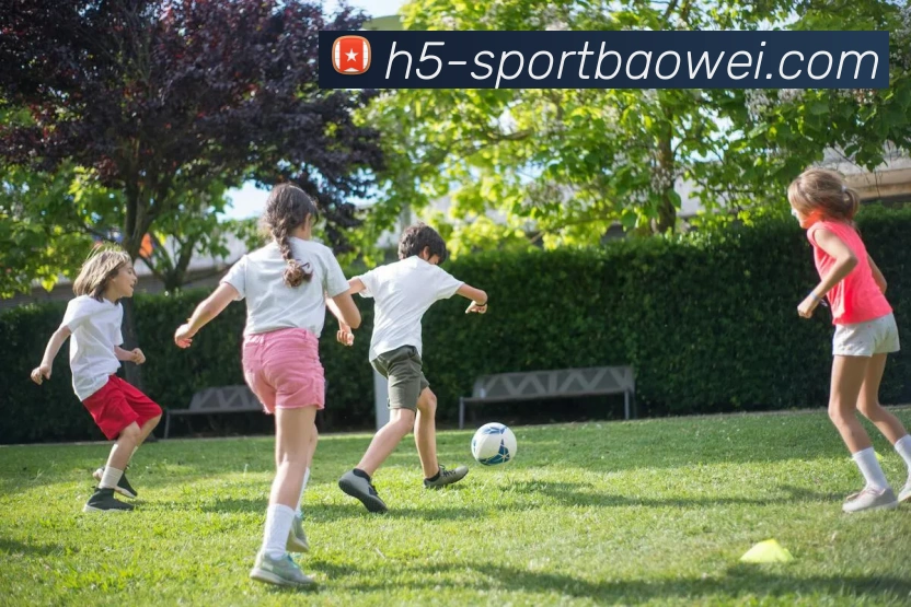 宝威体育服务体系